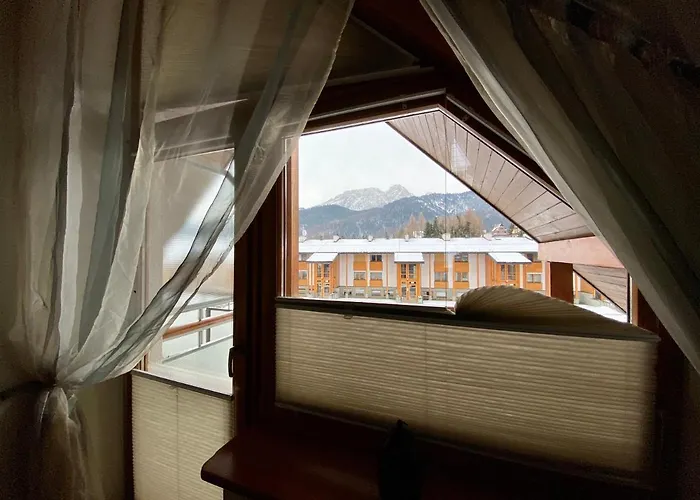 Viva Maria * ザコパネ