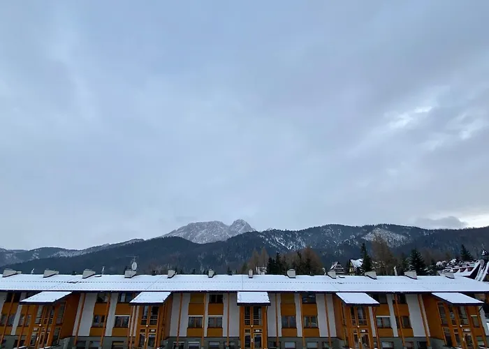 Viva Maria ザコパネ