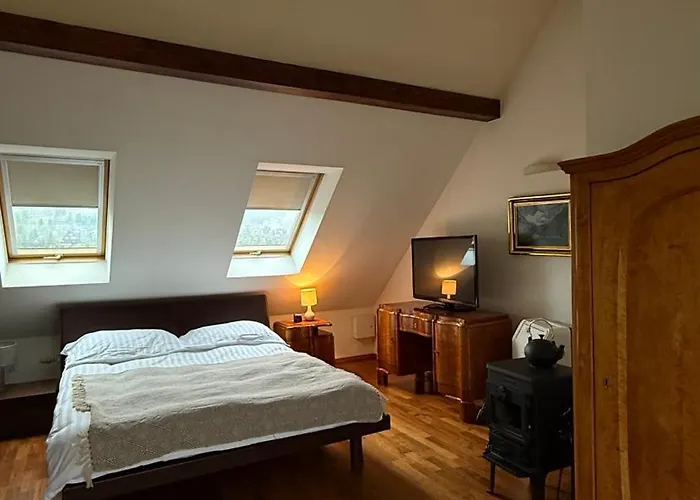 Viva Maria ザコパネ