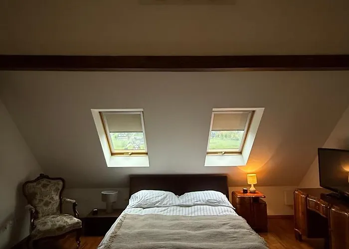 Viva Maria * ザコパネ